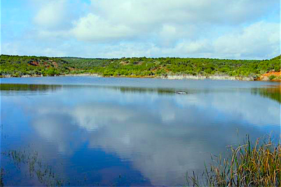 Cooper Mountain Ranch Photo