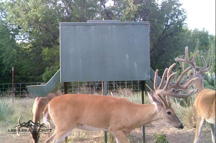 WK Ranch Photo