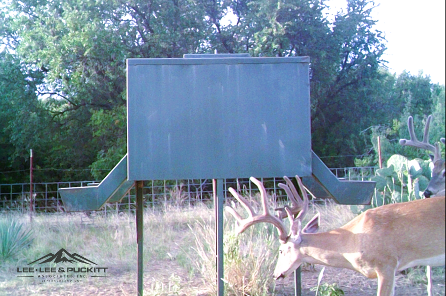 WK Ranch Photo