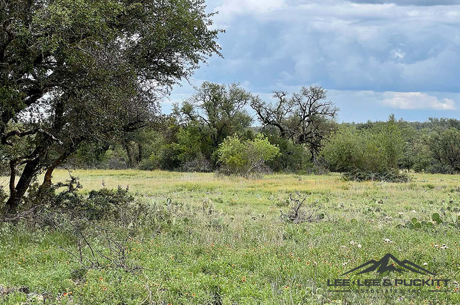 Eagle Claw Ranch Photo