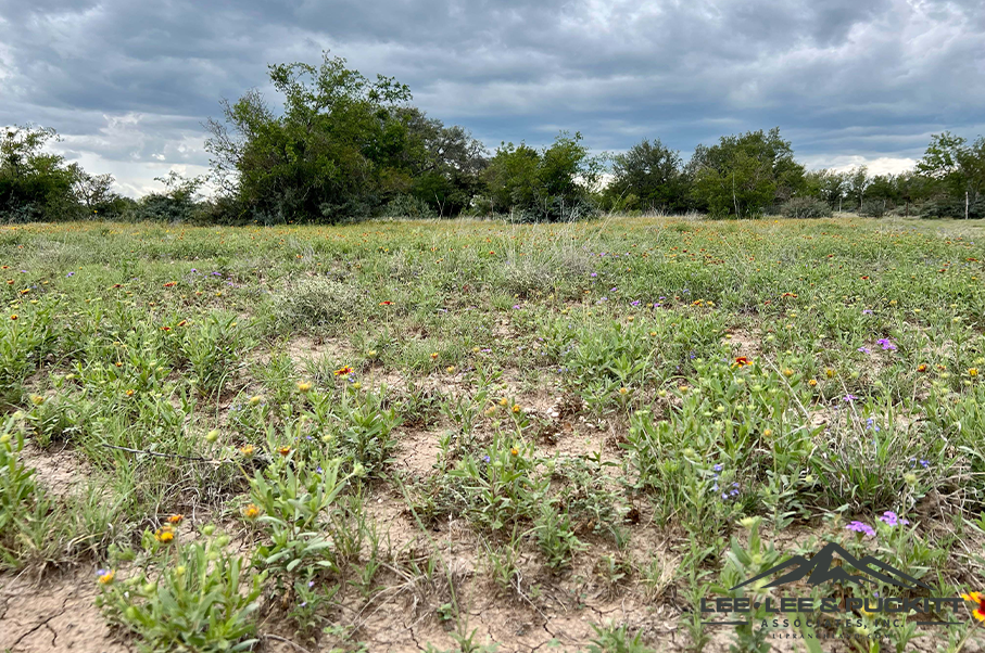 Eagle Claw Ranch Photo