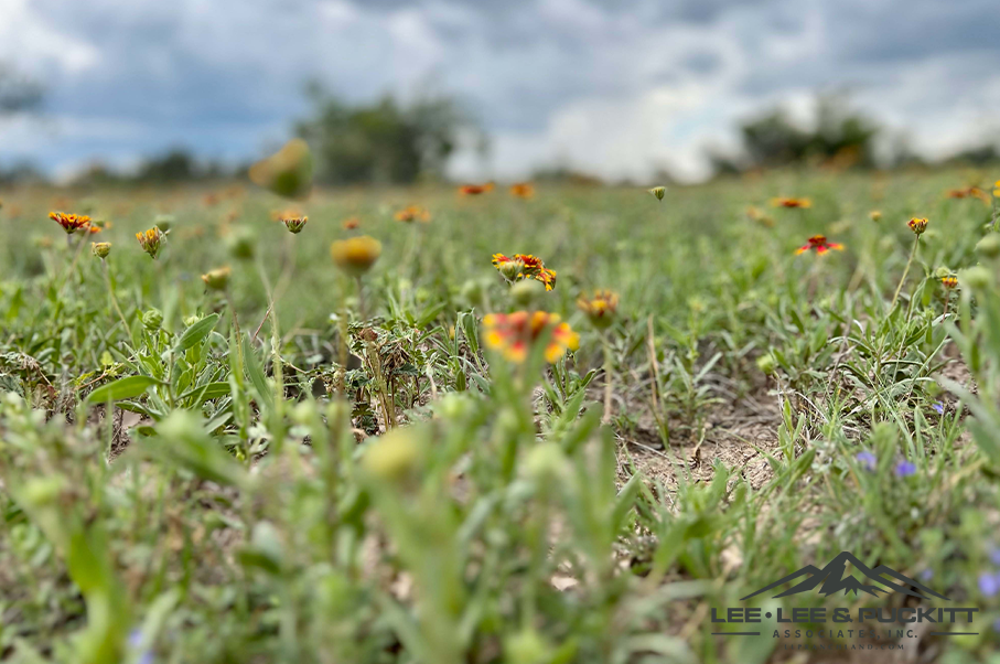 Eagle Claw Ranch Photo