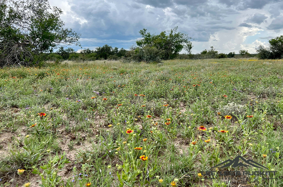 Eagle Claw Ranch Photo