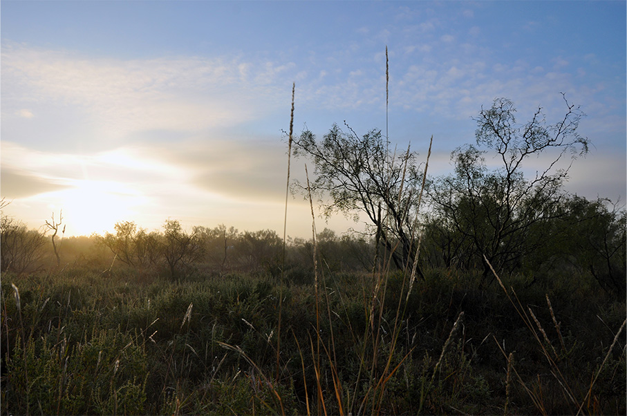 Garza County Ranch Photo