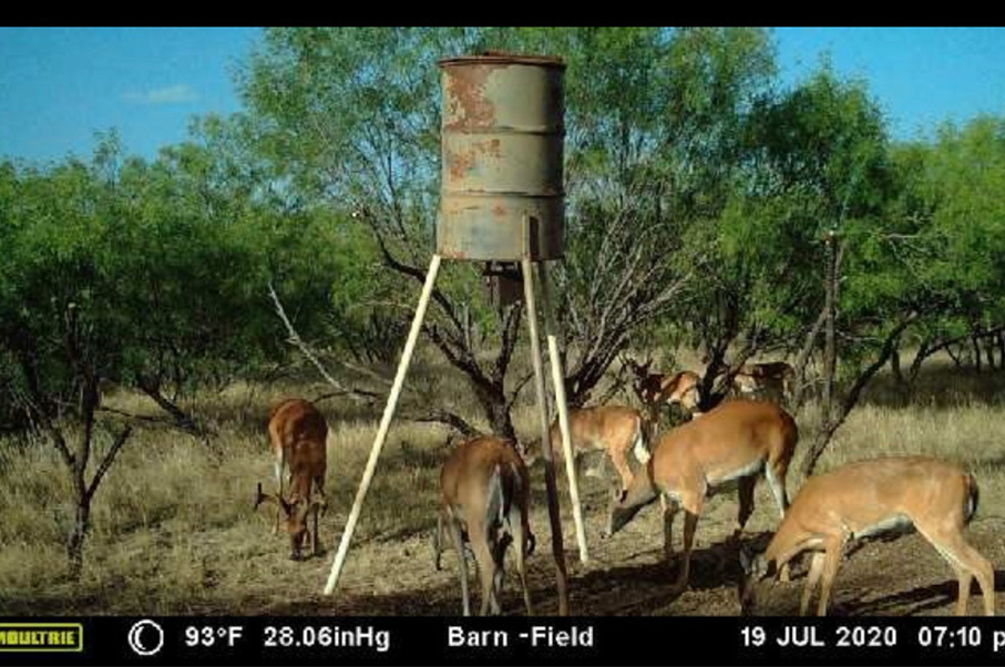 Hartman 42 Ranch Photo