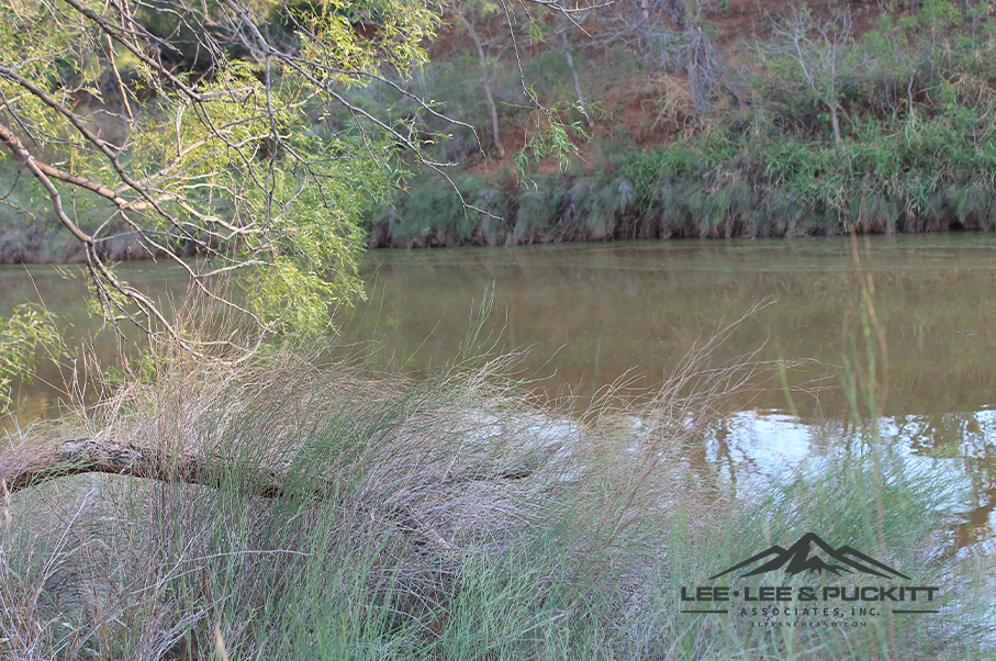 Hasler River Ranch Photo