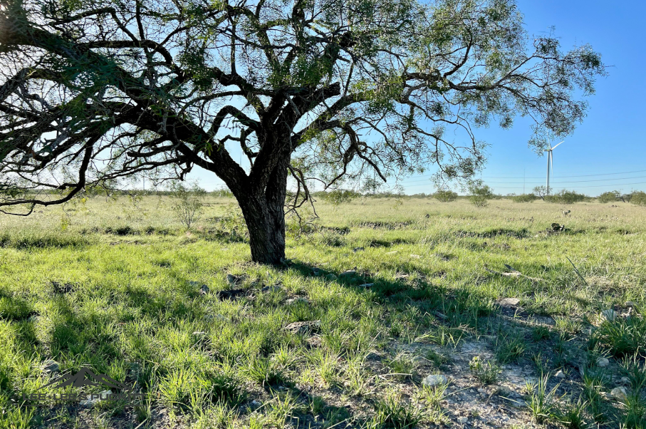 Hemphill Ranch Photo