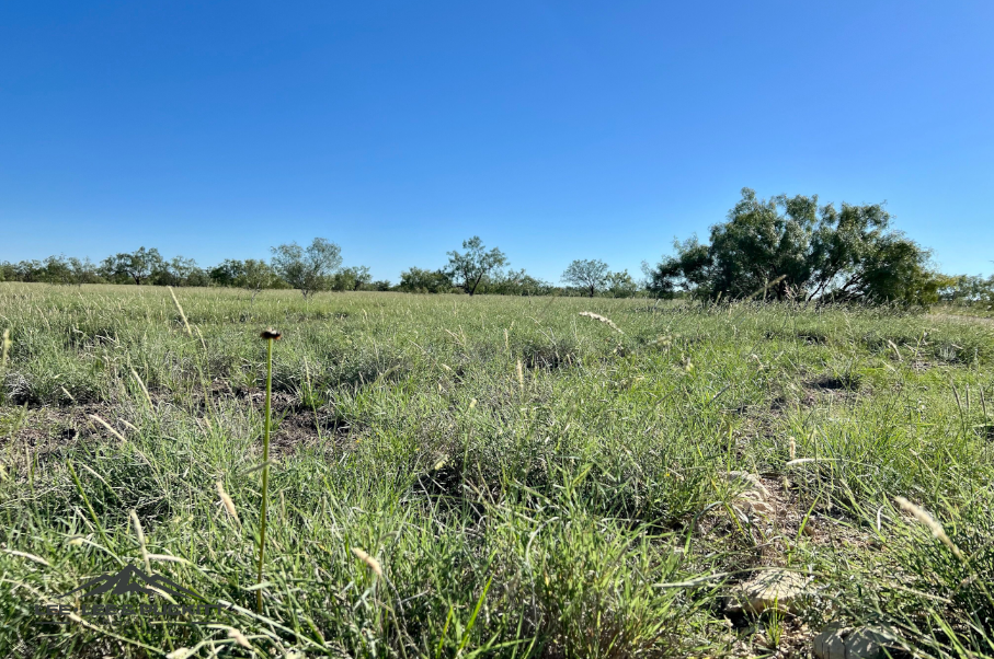 Elliott Ranch Photo
