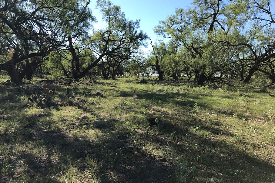 Herbort Ranch Photo