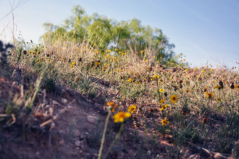 Iatan Ranch Photo