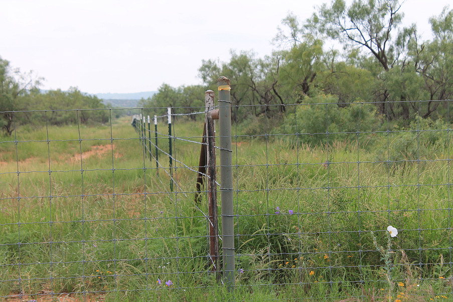 Lometa Road Ranch Photo