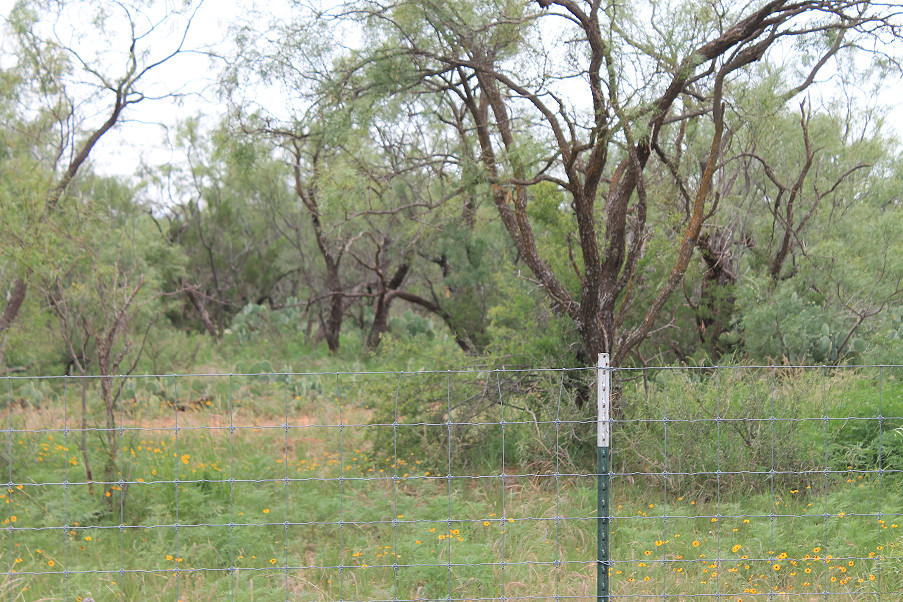 Lometa Road Ranch Photo