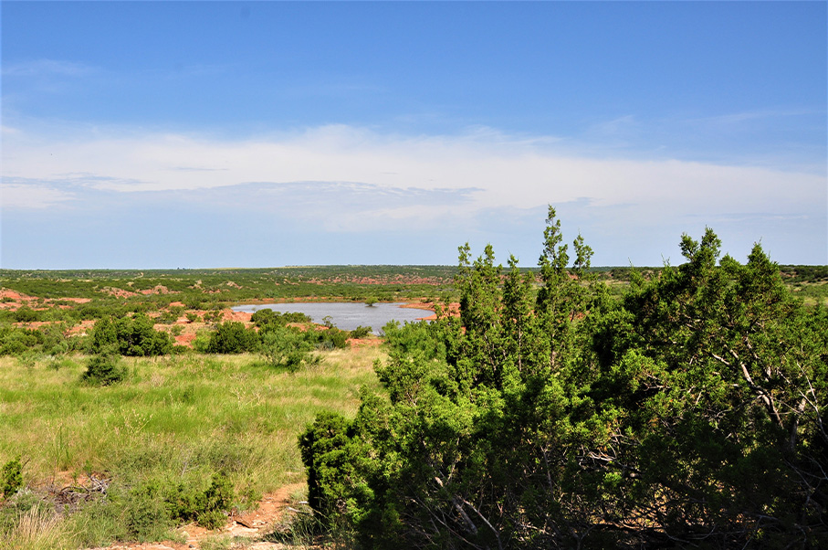 J2 Ranch Photo