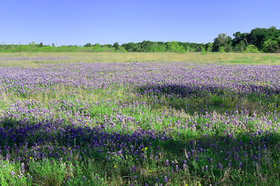 KW Ranch Photo