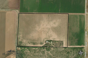 Miles Farm Photo