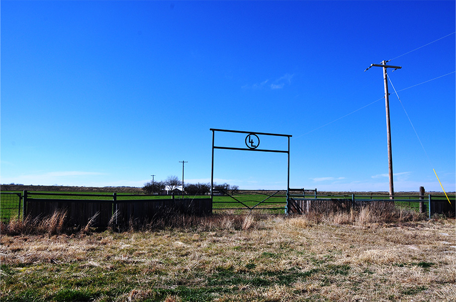 Mustang B Ranch Photo