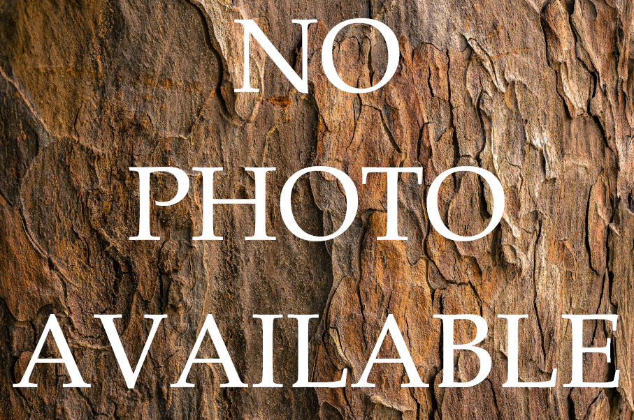 Poverty Canyon Photo