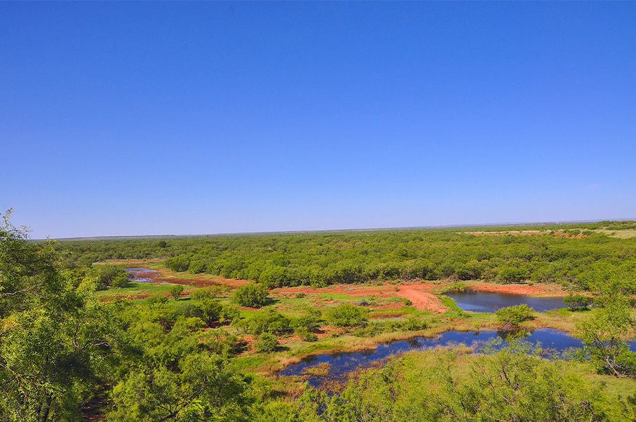 River Lake Ranch Photo