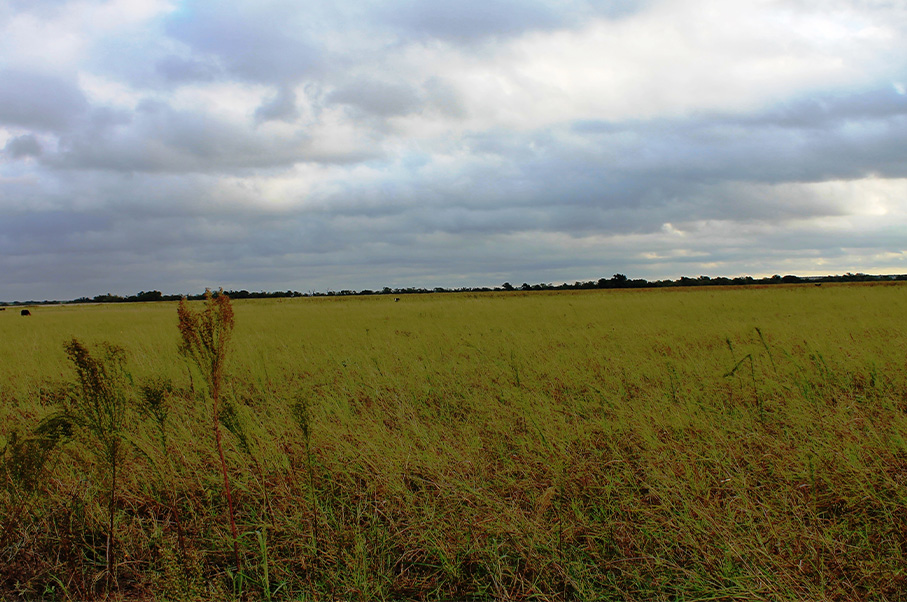 Runnels County Photo