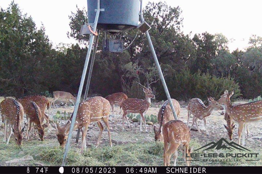 Schneider Ranch Photo