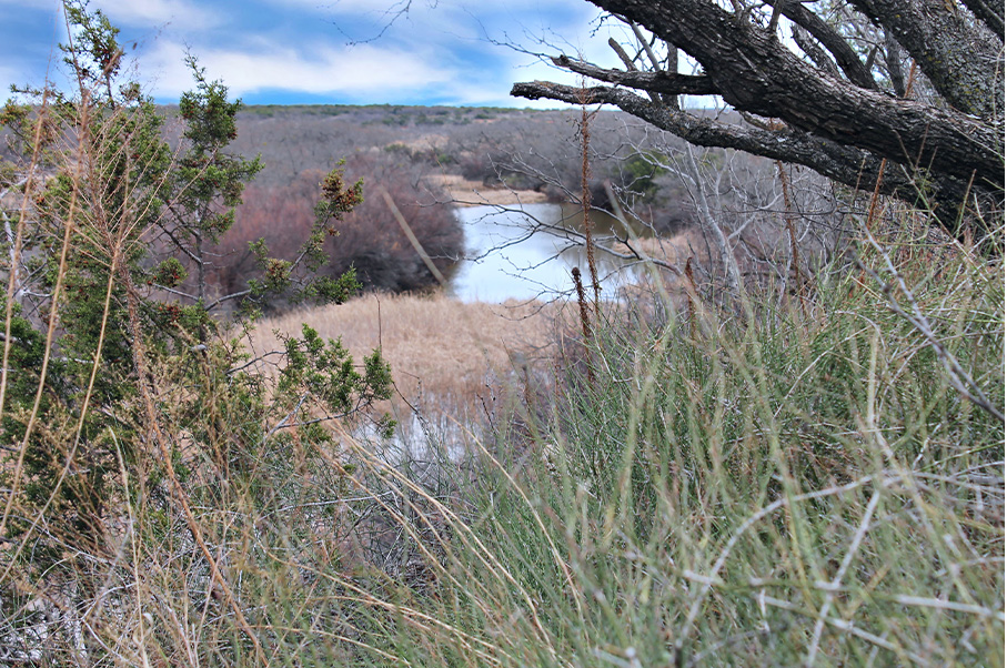 Simpson River Bend Ranch Photo