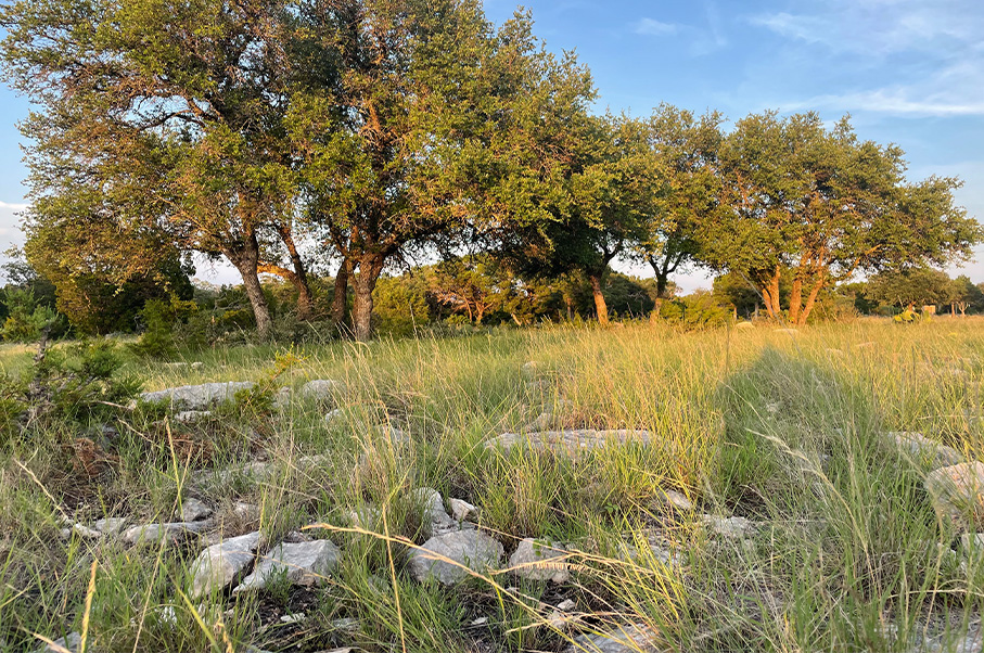 Schneider Ranch Photo