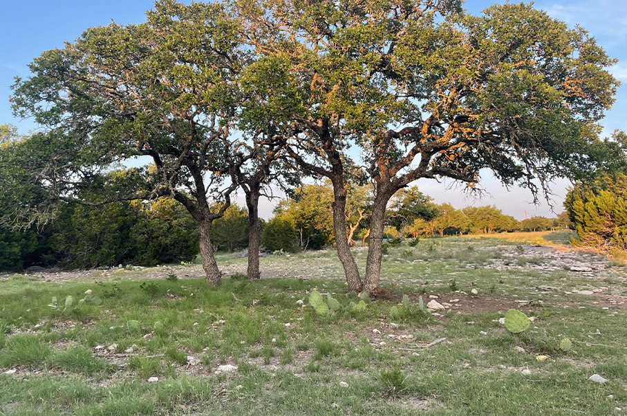 Schneider Ranch Photo