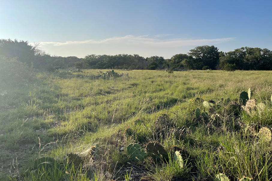 Schneider Ranch Photo