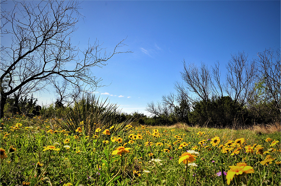 Stone Ridge Ranch Photo