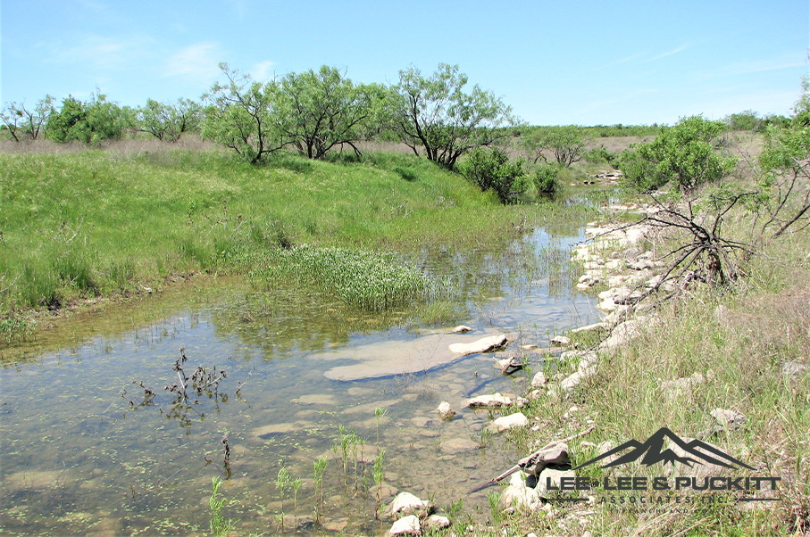 Triangle Ranch Photo