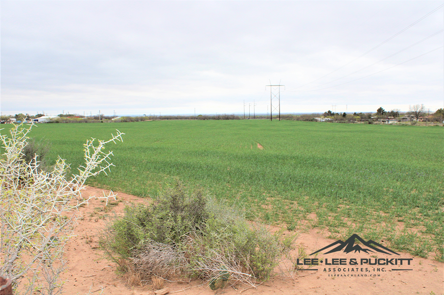 TW Farmland Photo