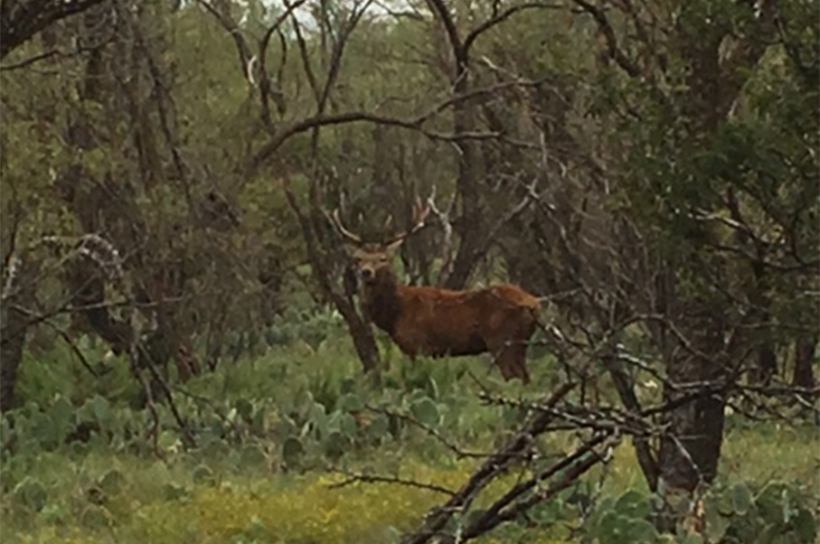 Welker Ranch Photo