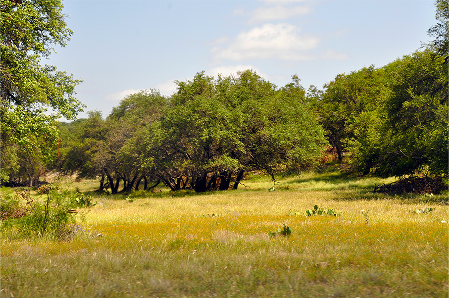 Sutton | Edwards County Ranch Photo