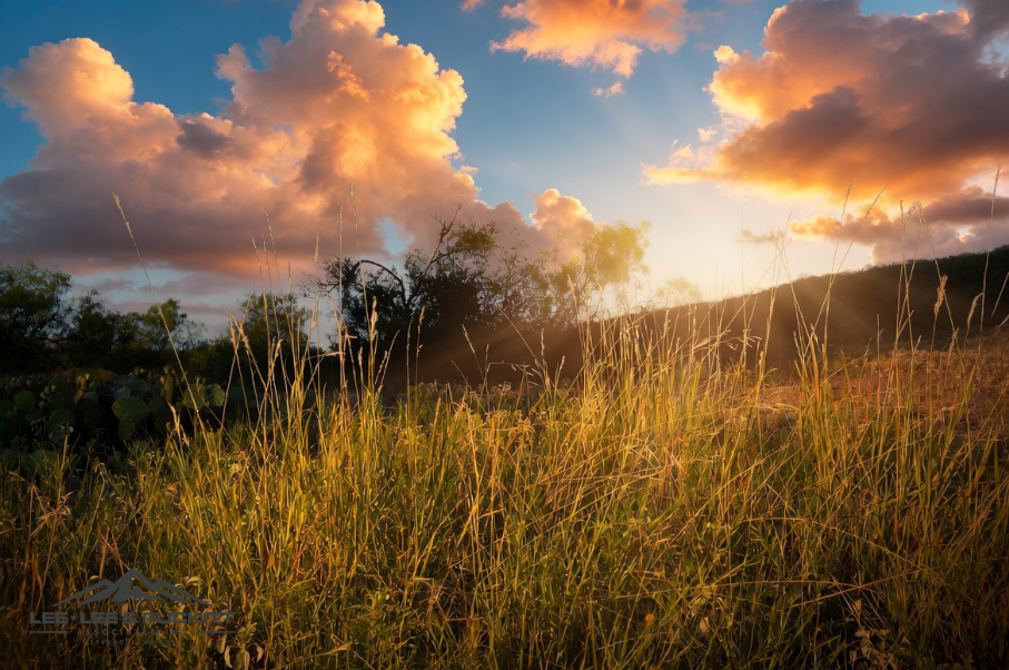 Wilson - Carlsbad Ranch Photo
