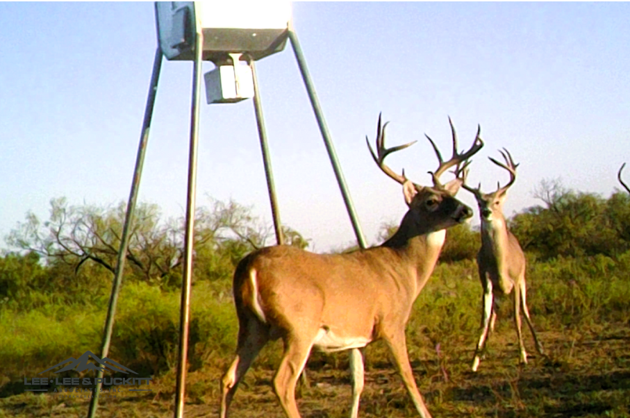 WK Ranch Photo