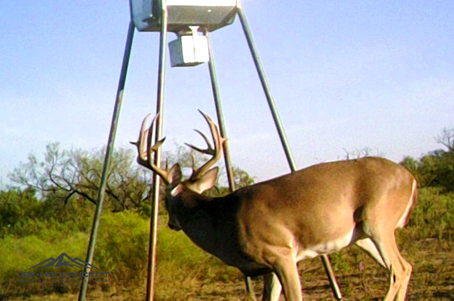 WK Ranch Photo