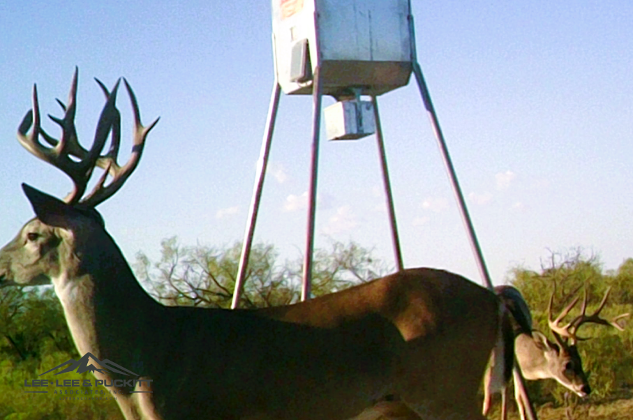 WK Ranch Photo