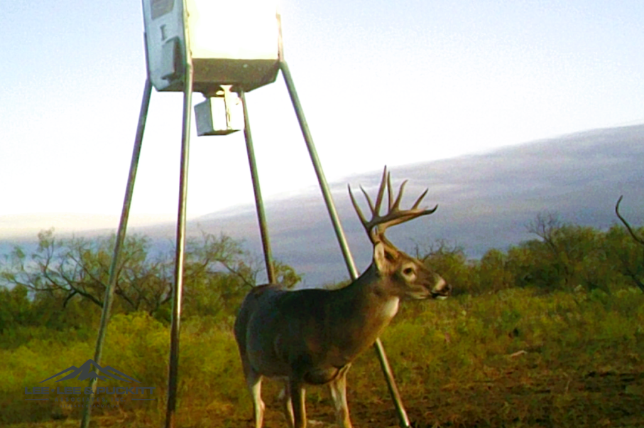 WK Ranch Photo
