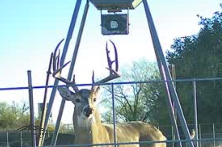 WK Ranch Photo