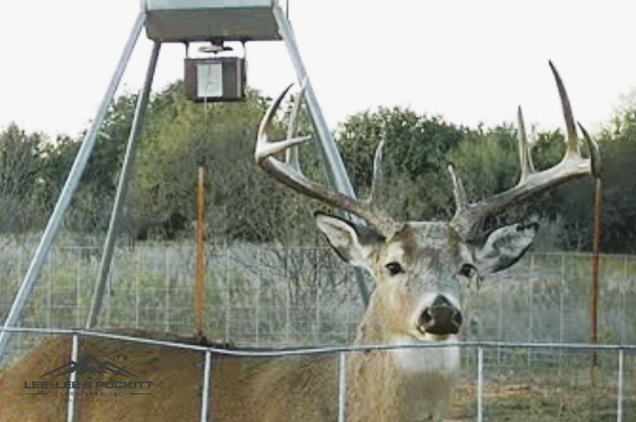 WK Ranch Photo