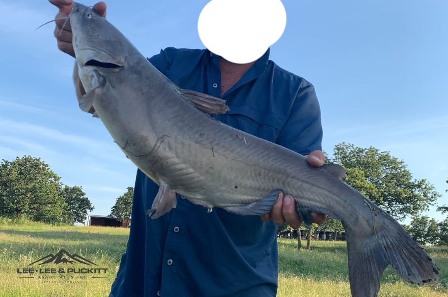WK Ranch Photo