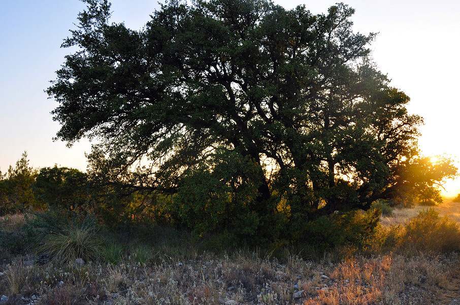 Broken B Ranch Photo