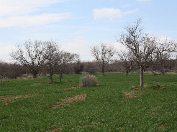 Bull Creek Ranch Photo