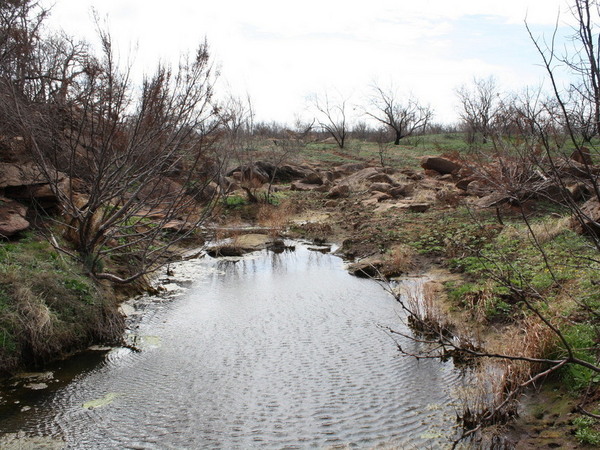 Bull Creek Ranch Photo