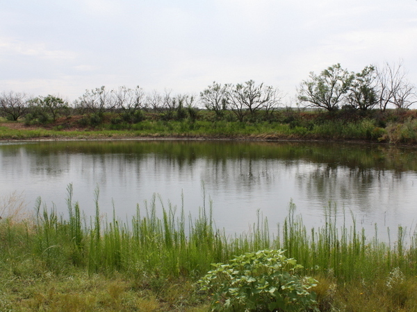 Bull Creek Ranch Photo