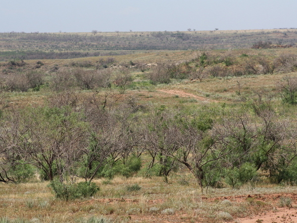 Bull Creek Ranch Photo