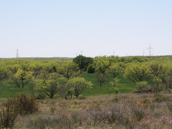 Bull Creek Ranch Photo