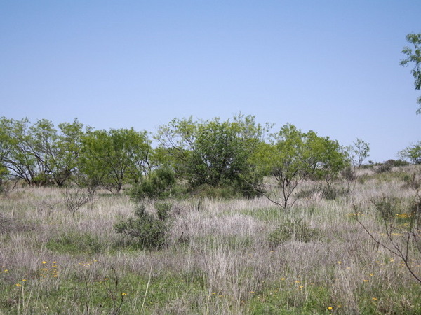 Bull Creek Ranch Photo