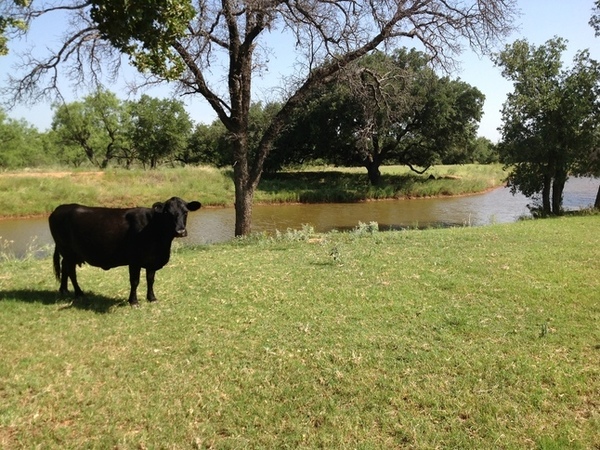 Burttschell Ranch Photo