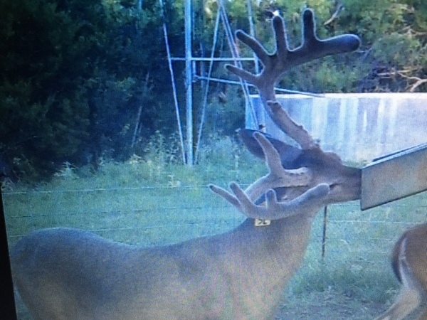 Burttschell Ranch Photo